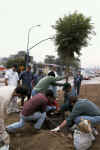 GSL 2000 Tree Planting.JPG