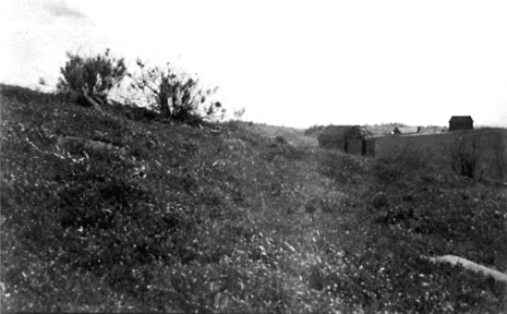 1906 Panorama Close Up