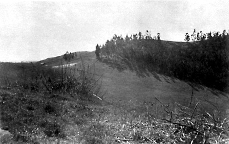 1906 Panorama Close Up